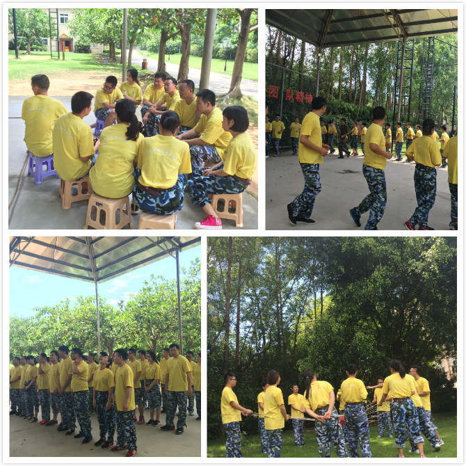 1467104556121924.jpg 06.jpg